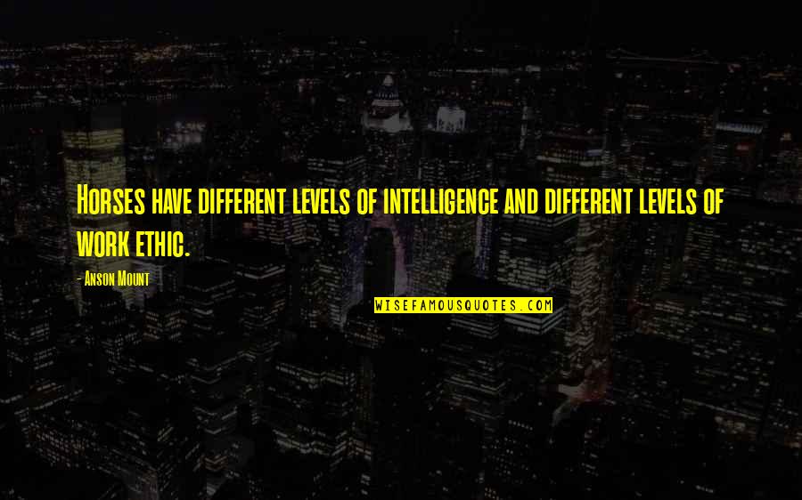 Funny Trophy Quotes By Anson Mount: Horses have different levels of intelligence and different