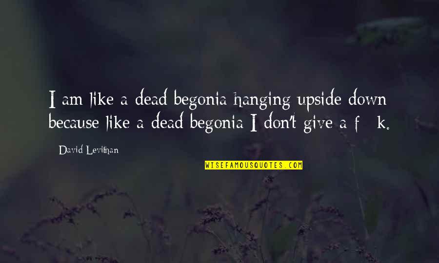 Funny Upside Down Quotes By David Levithan: I am like a dead begonia hanging upside