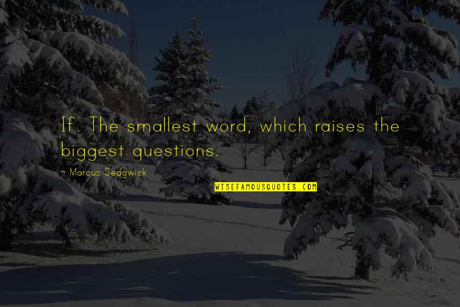 Funny Vicar Dibley Quotes By Marcus Sedgwick: If. The smallest word, which raises the biggest