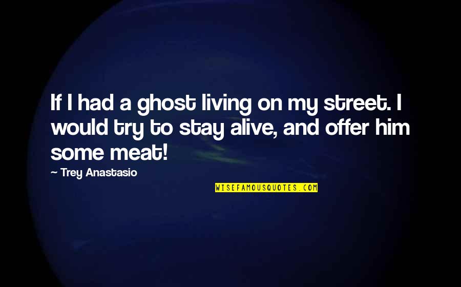 Funny Visa Priceless Quotes By Trey Anastasio: If I had a ghost living on my