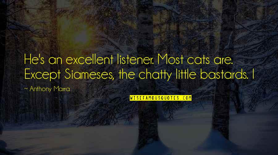 Funny Warner Bros Quotes By Anthony Marra: He's an excellent listener. Most cats are. Except