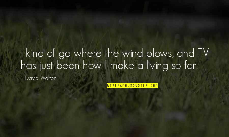 Funny Watches Quotes By David Walton: I kind of go where the wind blows,