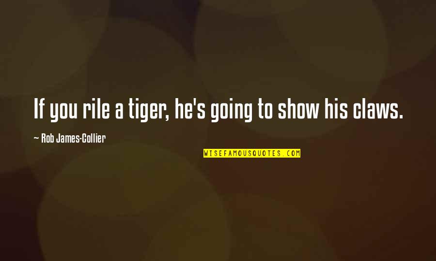 Funny Water Saving Quotes By Rob James-Collier: If you rile a tiger, he's going to