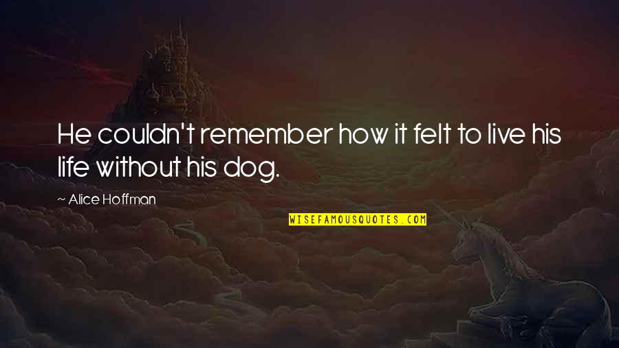 Funny Wcw Quotes By Alice Hoffman: He couldn't remember how it felt to live