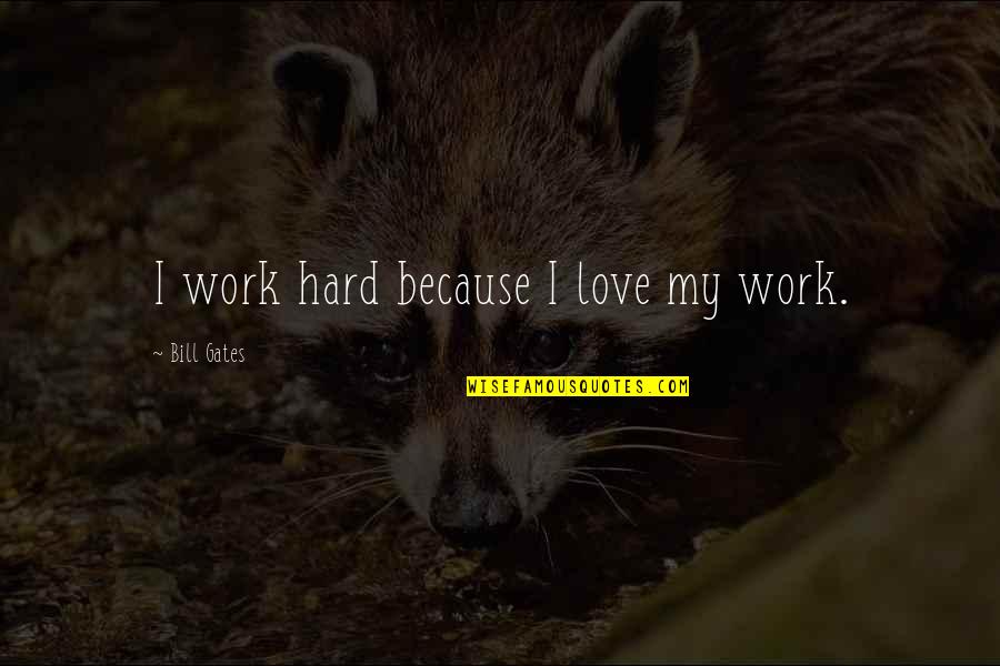 Funny Weave Quotes By Bill Gates: I work hard because I love my work.