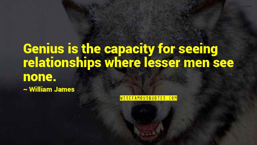 Funny Well Being Quotes By William James: Genius is the capacity for seeing relationships where