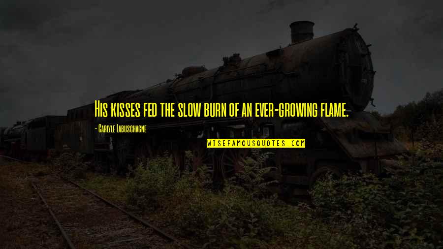 Funny Willy Quotes By Carlyle Labuschagne: His kisses fed the slow burn of an