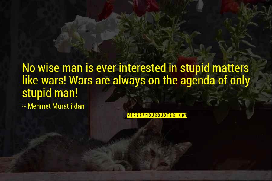 Funny Wine And Cheese Quotes By Mehmet Murat Ildan: No wise man is ever interested in stupid