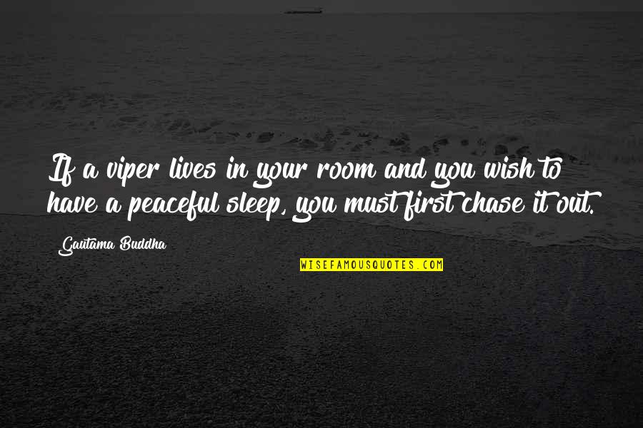 Funny Wishing Good Luck Quotes By Gautama Buddha: If a viper lives in your room and