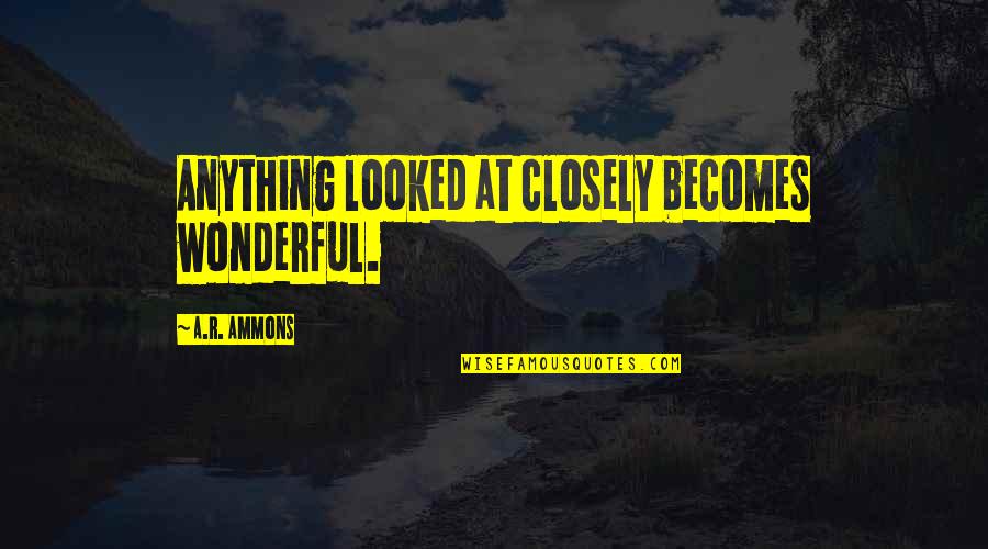 Funny Witticisms Quotes By A.R. Ammons: Anything looked at closely becomes wonderful.