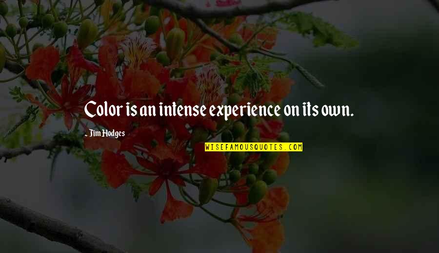 Funny Workaholics Quotes By Jim Hodges: Color is an intense experience on its own. Funny Workaholics Quotes By Jim Hodges: Color is an intense experience on its own.