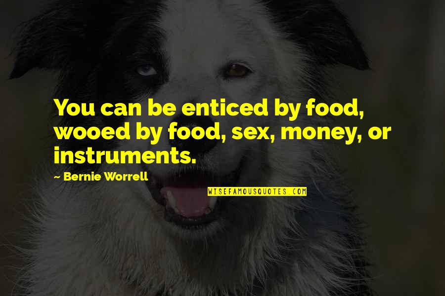 Funny Workstation Quotes By Bernie Worrell: You can be enticed by food, wooed by