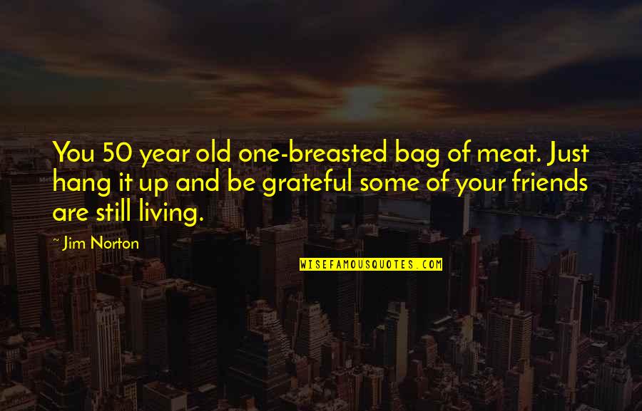 Funny Year Quotes By Jim Norton: You 50 year old one-breasted bag of meat. Funny Year Quotes By Jim Norton: You 50 year old one-breasted bag of meat.