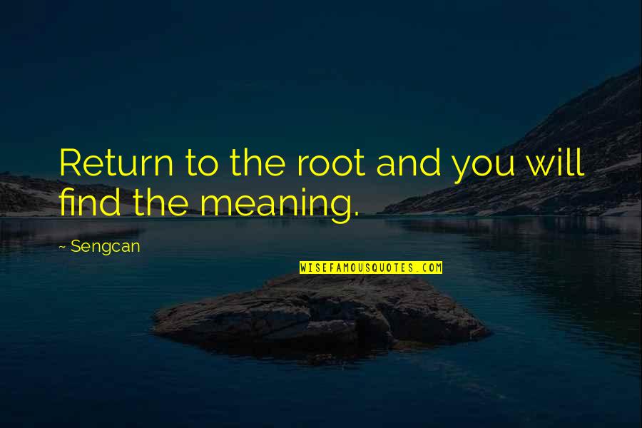 Funny Zoos Quotes By Sengcan: Return to the root and you will find