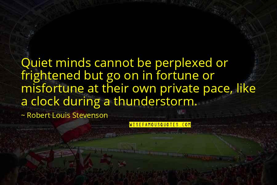 Funziona Quotes By Robert Louis Stevenson: Quiet minds cannot be perplexed or frightened but
