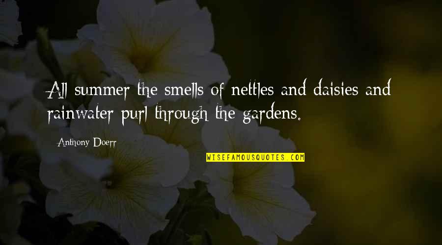 Fuqaha Sabah Quotes By Anthony Doerr: All summer the smells of nettles and daisies Fuqaha Sabah Quotes By Anthony Doerr: All summer the smells of nettles and daisies