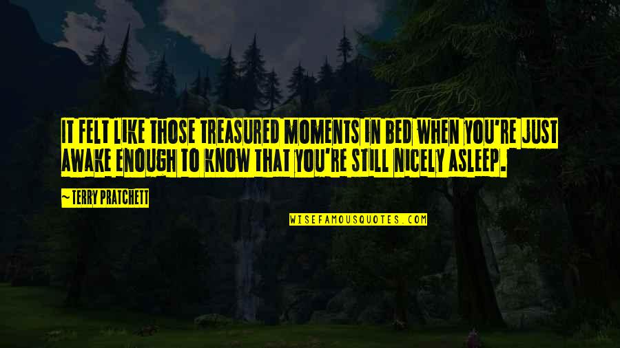 Furbush Reality Quotes By Terry Pratchett: It felt like those treasured moments in bed Furbush Reality Quotes By Terry Pratchett: It felt like those treasured moments in bed