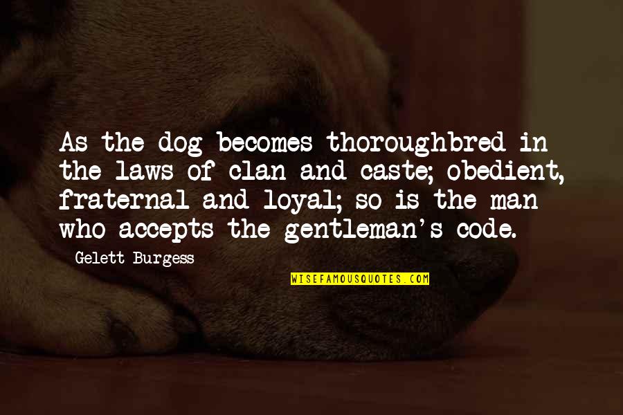 Furled Eyebrows Quotes By Gelett Burgess: As the dog becomes thoroughbred in the laws