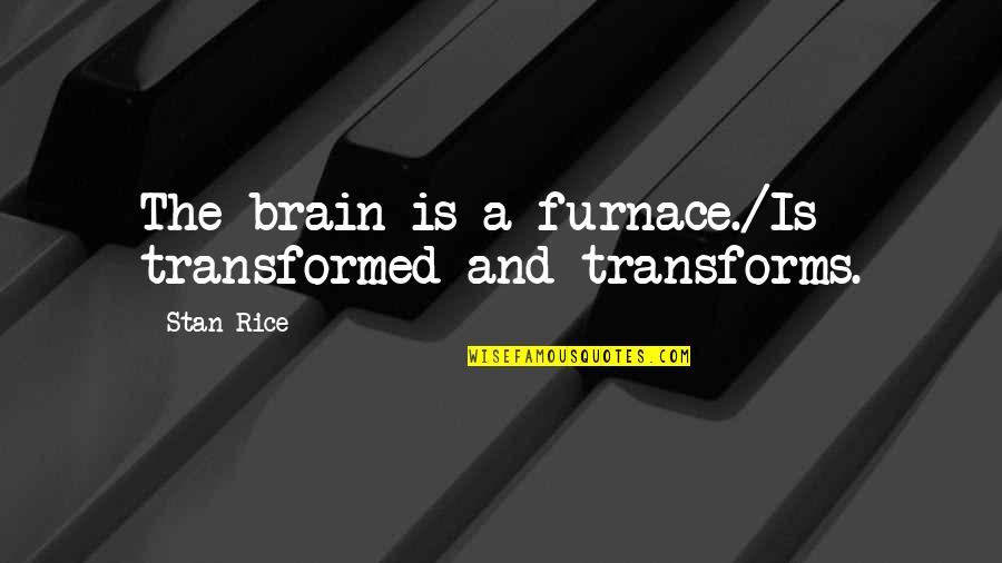 Furnace Quotes By Stan Rice: The brain is a furnace./Is transformed and transforms.