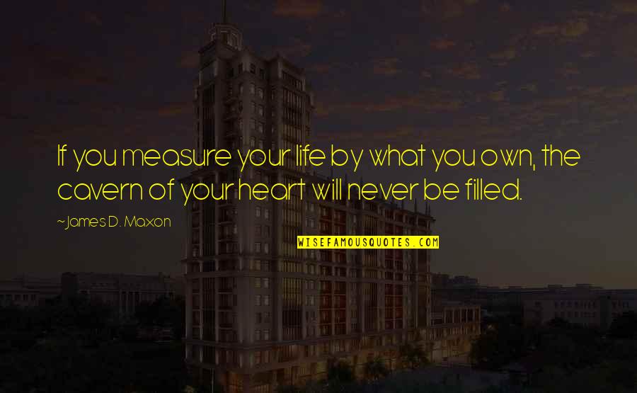 Furnishes Information Quotes By James D. Maxon: If you measure your life by what you