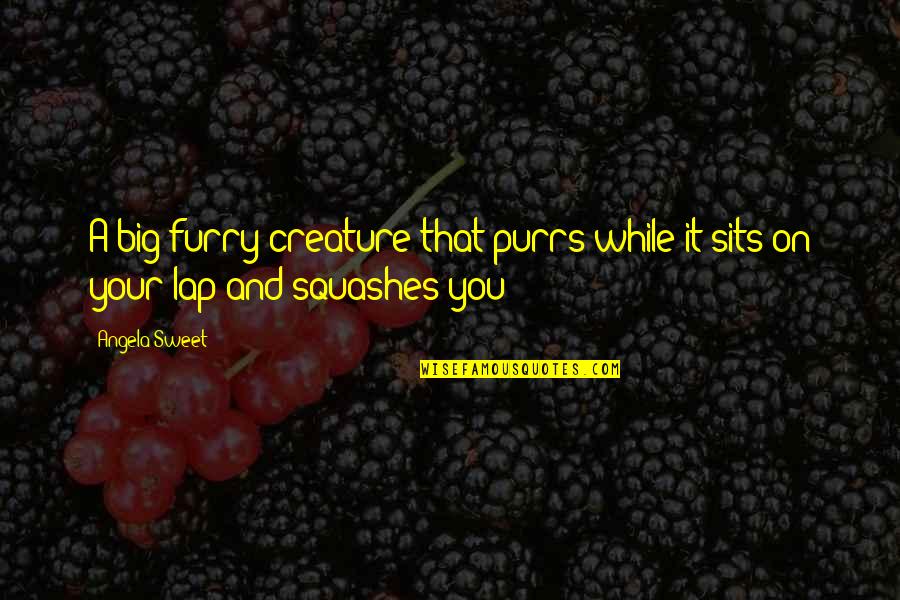 Furry Quotes By Angela Sweet: A big furry creature that purrs while it