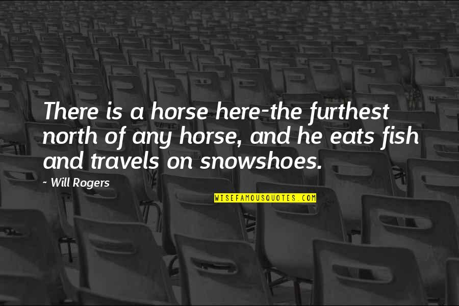 Furthest Quotes By Will Rogers: There is a horse here-the furthest north of