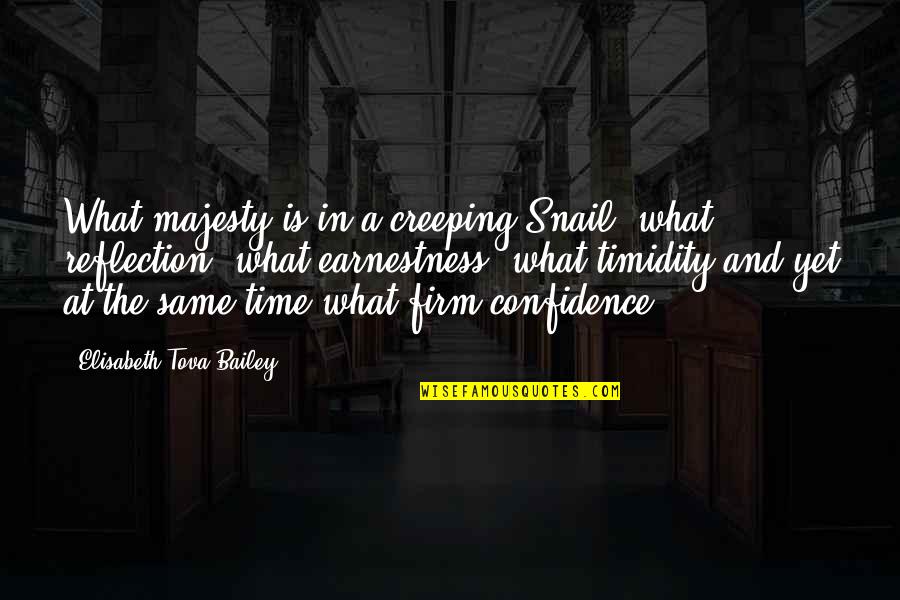 Fuschetto Inmobiliaria Quotes By Elisabeth Tova Bailey: What majesty is in a creeping Snail, what Fuschetto Inmobiliaria Quotes By Elisabeth Tova Bailey: What majesty is in a creeping Snail, what