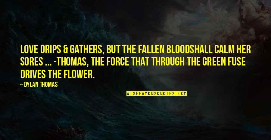 Fuse Quotes By Dylan Thomas: Love drips & gathers, but the fallen bloodShall