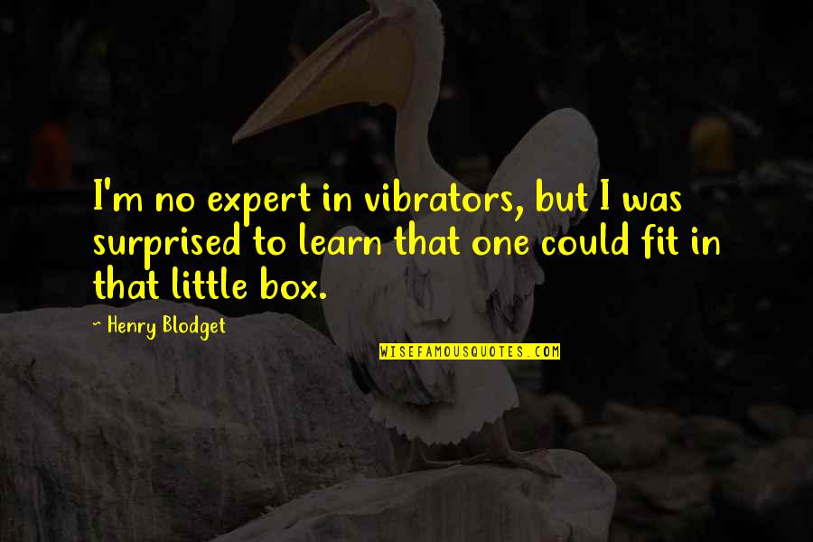 Fuselage Design Quotes By Henry Blodget: I'm no expert in vibrators, but I was