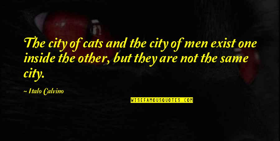 Fuseproject Quotes By Italo Calvino: The city of cats and the city of