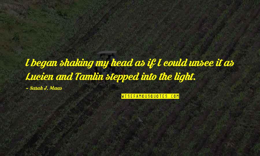 Fusils Airsoft Quotes By Sarah J. Maas: I began shaking my head as if I Fusils Airsoft Quotes By Sarah J. Maas: I began shaking my head as if I