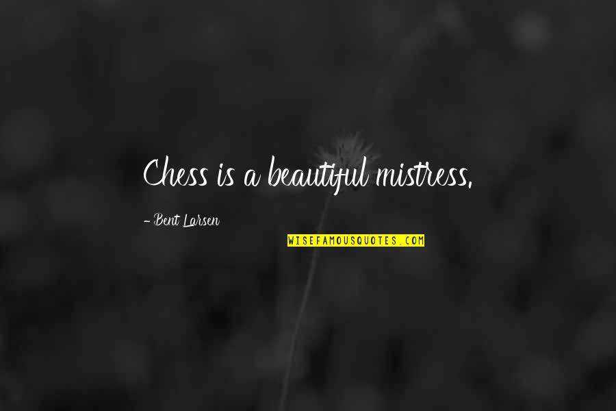 Fussbudget Wiki Quotes By Bent Larsen: Chess is a beautiful mistress.