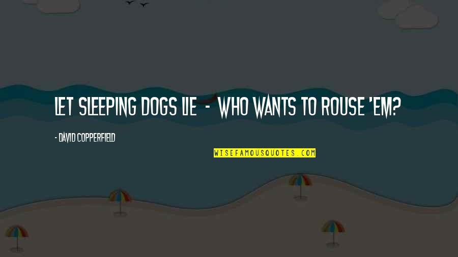 Fusselman Allen Harvey Quotes By David Copperfield: Let sleeping dogs lie - who wants to