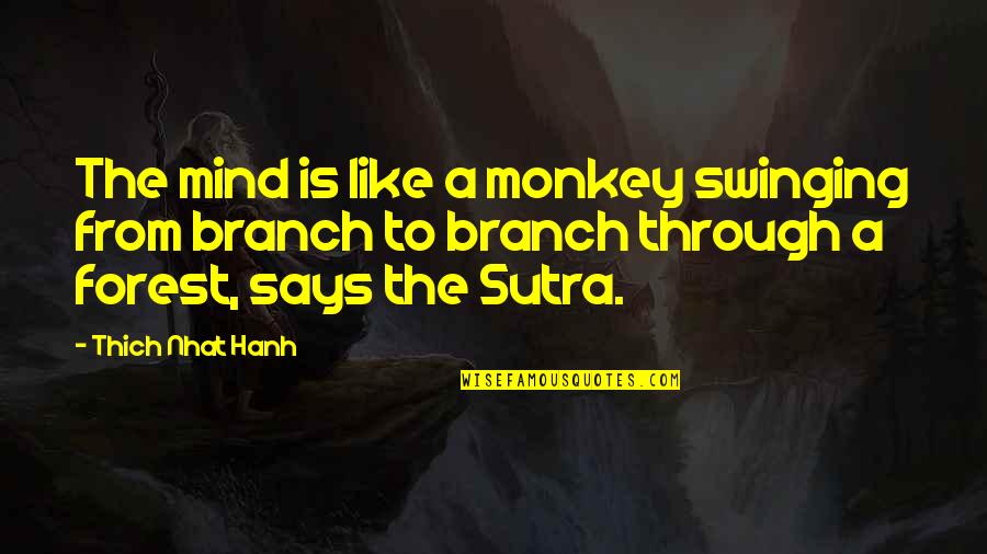 Fustane Quotes By Thich Nhat Hanh: The mind is like a monkey swinging from Fustane Quotes By Thich Nhat Hanh: The mind is like a monkey swinging from