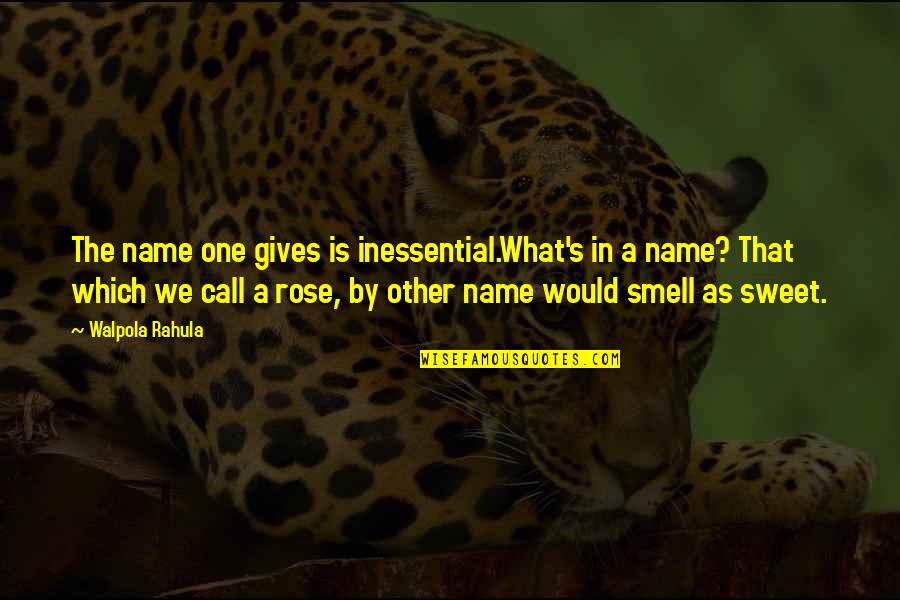 Futilely Antonyms Quotes By Walpola Rahula: The name one gives is inessential.What's in a Futilely Antonyms Quotes By Walpola Rahula: The name one gives is inessential.What's in a