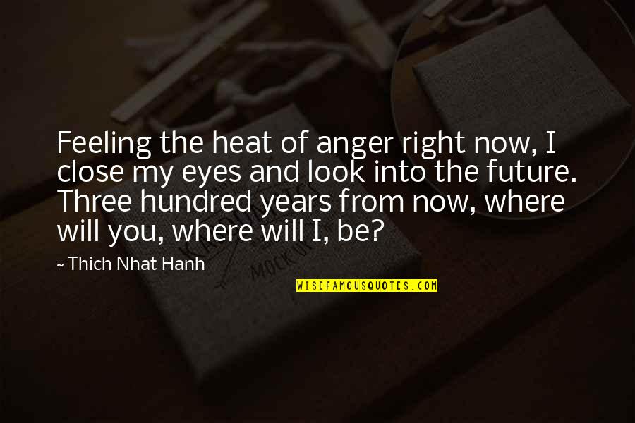 Future And Eyes Quotes By Thich Nhat Hanh: Feeling the heat of anger right now, I