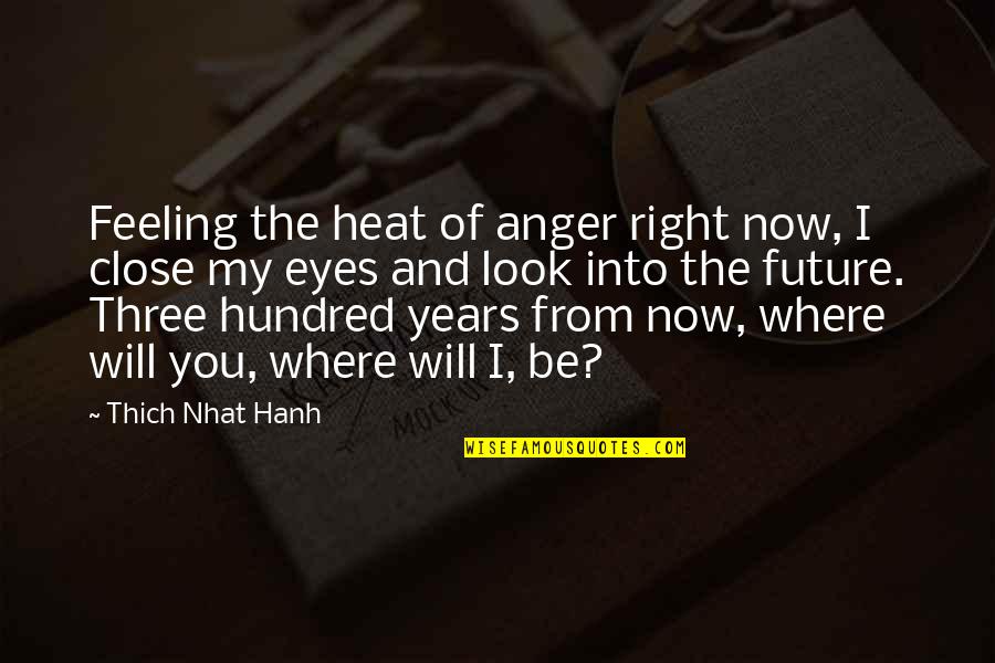 Future And Eyes Quotes By Thich Nhat Hanh: Feeling the heat of anger right now, I Future And Eyes Quotes By Thich Nhat Hanh: Feeling the heat of anger right now, I