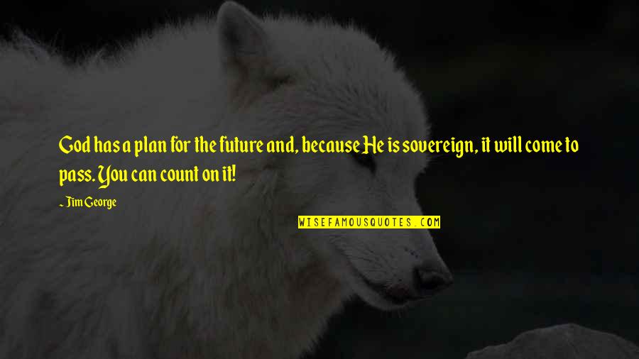 Future And Faith Quotes By Jim George: God has a plan for the future and,
