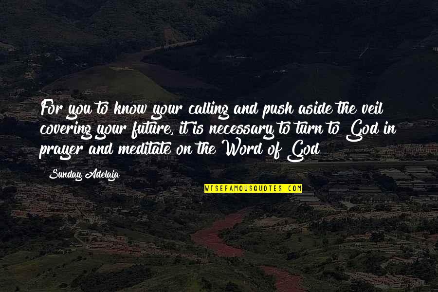 Future And Goals Quotes By Sunday Adelaja: For you to know your calling and push