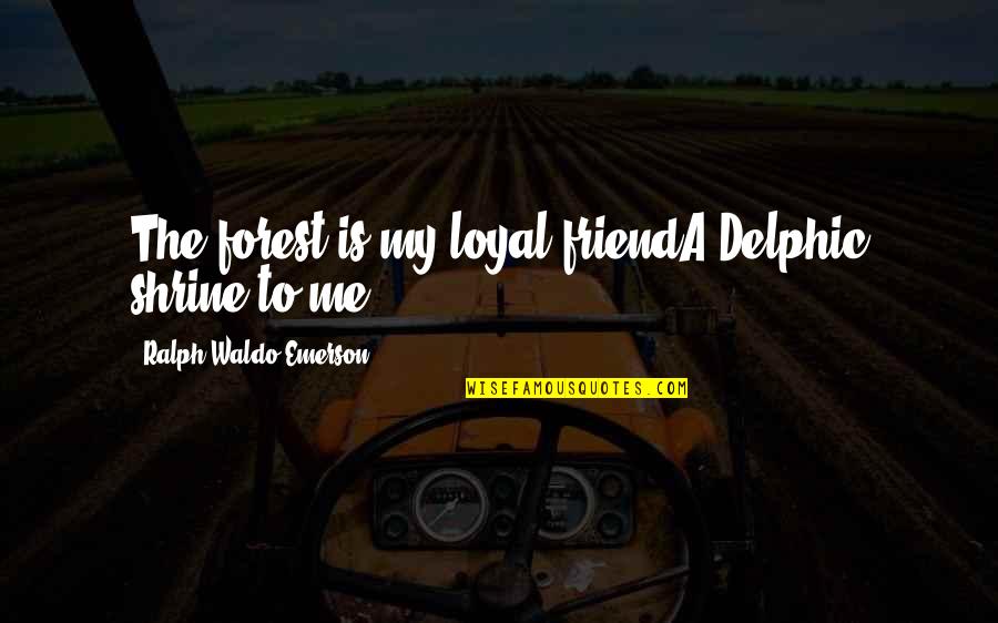 Future Champ Quotes By Ralph Waldo Emerson: The forest is my loyal friendA Delphic shrine