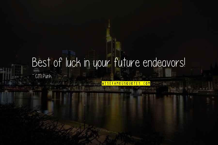 Future Endeavors Quotes By CM Punk: Best of luck in your future endeavors!