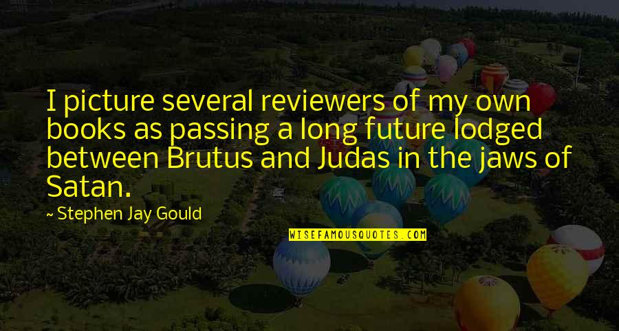 Future From Books Quotes By Stephen Jay Gould: I picture several reviewers of my own books