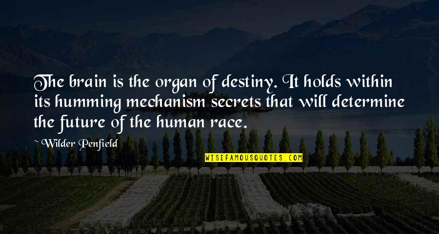 Future Holds Quotes By Wilder Penfield: The brain is the organ of destiny. It