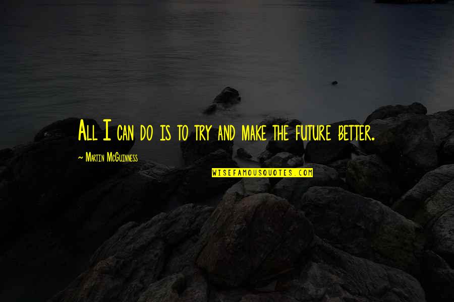 Future Is Better Quotes By Martin McGuinness: All I can do is to try and