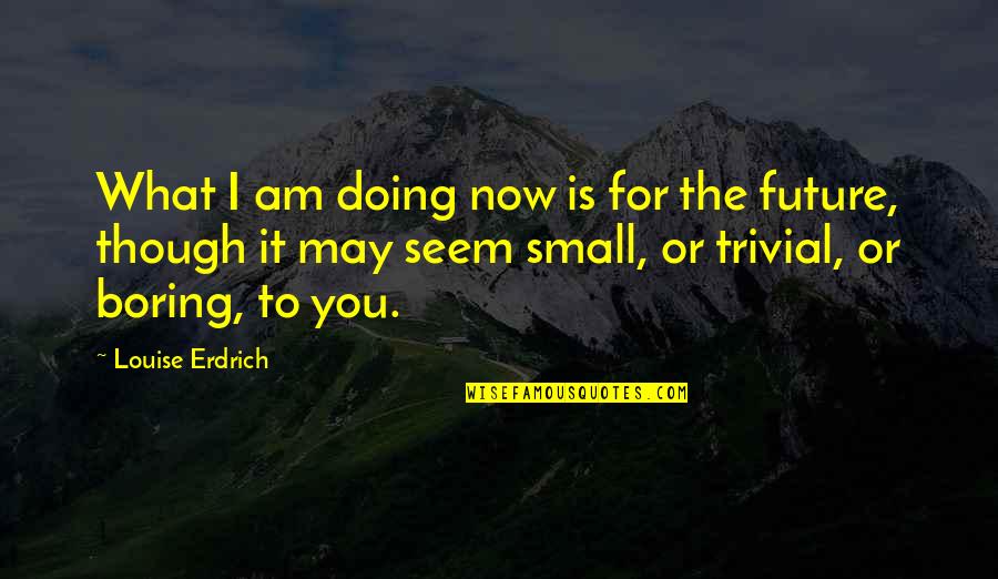 Future Is Now Quotes By Louise Erdrich: What I am doing now is for the Future Is Now Quotes By Louise Erdrich: What I am doing now is for the