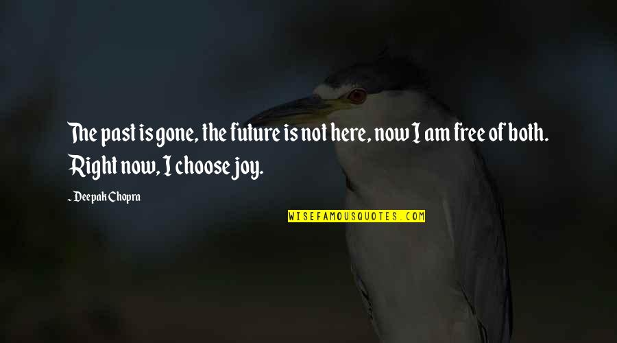 Future Joy Quotes By Deepak Chopra: The past is gone, the future is not