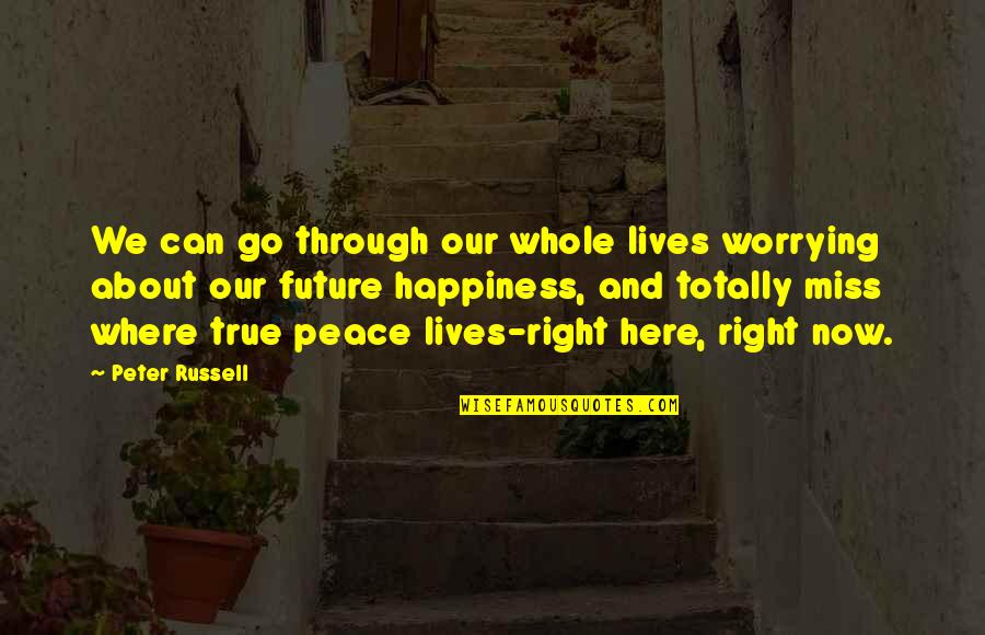 Future Lives Quotes By Peter Russell: We can go through our whole lives worrying