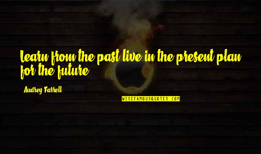 Future Plan Quotes By Audrey Farrell: Learn from the past live in the present