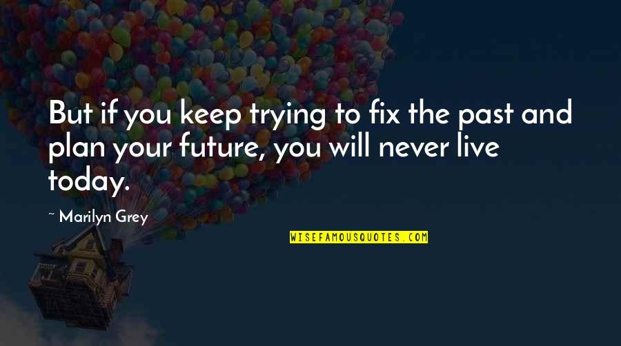 Future Plan Quotes By Marilyn Grey: But if you keep trying to fix the