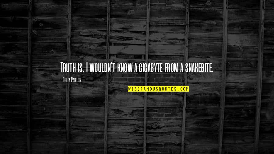 Futureland Quotes By Dolly Parton: Truth is, I wouldn't know a gigabyte from